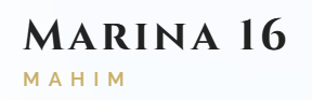 Marina 16 Developers logo